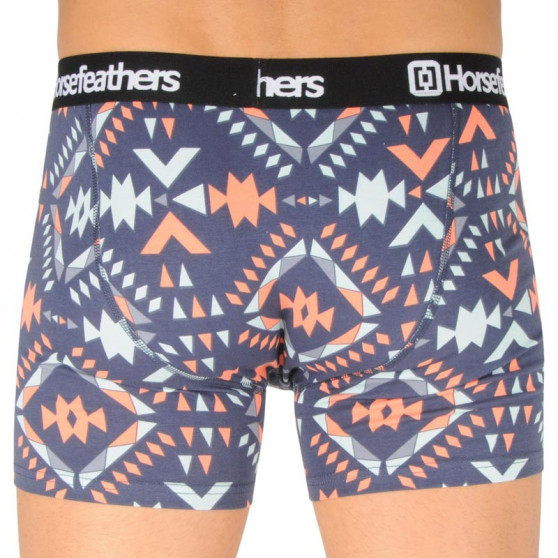 Boxershorts til mænd Horsefeathers Sidney aztec (AM070V)