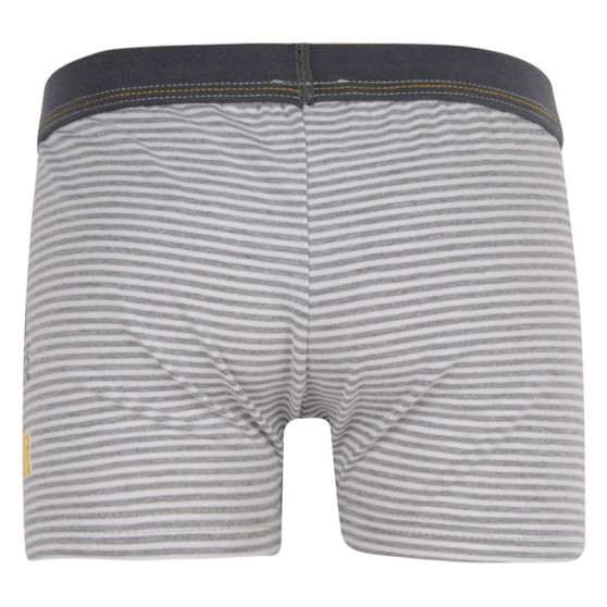 Boxershorts til børn Cornette Børn flerfarvet (701/77)