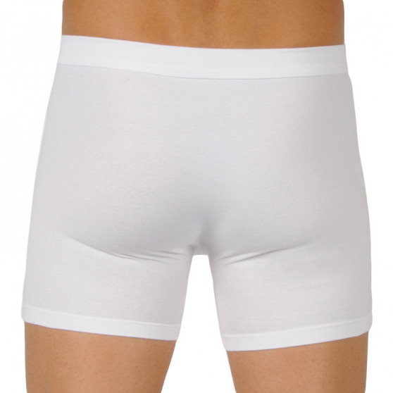 Boxershorts til mænd Bellinda hvid (BU858445-030)