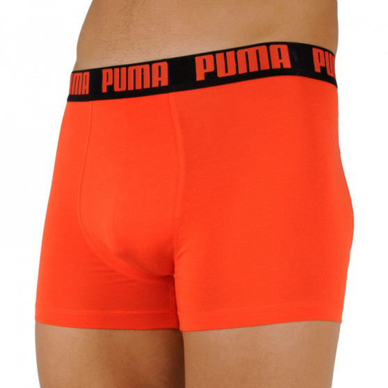 2PACK Boxershorts til mænd Puma flerfarvet (701202499 003)