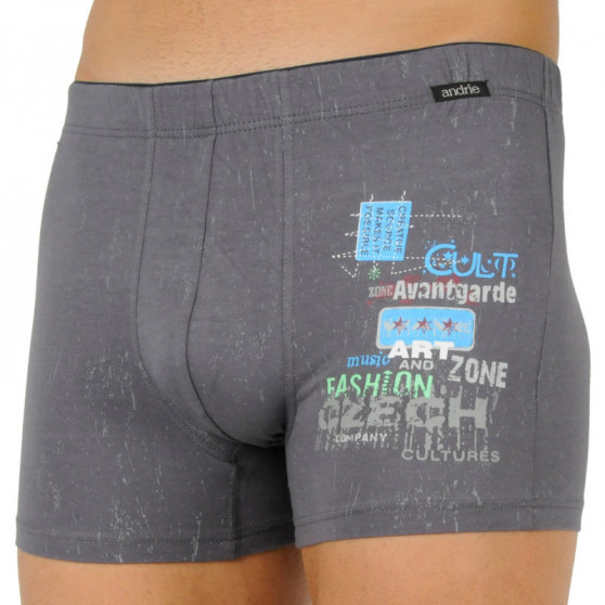 Boxershorts til mænd Andrie grå (PS 5588 B)