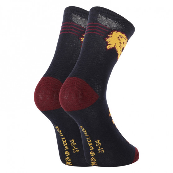 2PACK Børnesokker E plus M Harry Potter flerfarvet (GRYFFINDOR-A)