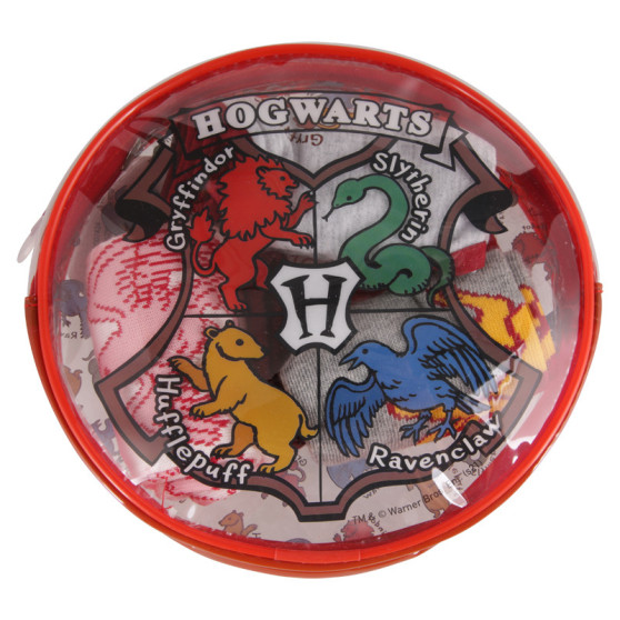 4PACK undertøjssæt til piger Cerdá Harry Potter flerfarvet (2200007424)