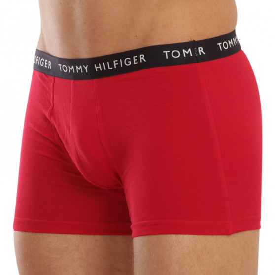 3PACK Boxershorts til mænd Tommy Hilfiger flerfarvet (UM0UM02203 0XI)