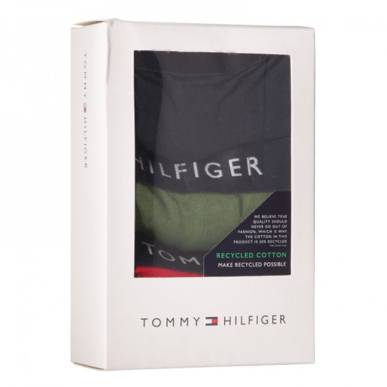 3PACK Boxershorts til mænd Tommy Hilfiger flerfarvet (UM0UM02203 0XI)