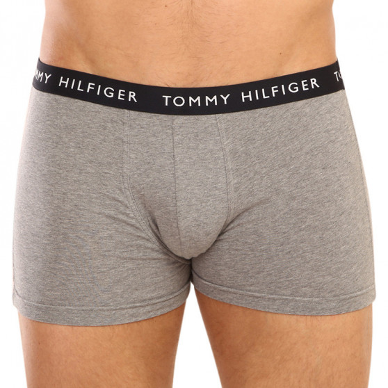 3PACK Boxershorts til mænd Tommy Hilfiger flerfarvet (UM0UM02325 0SG)