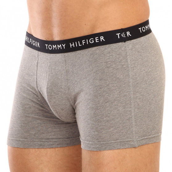 3PACK Boxershorts til mænd Tommy Hilfiger flerfarvet (UM0UM02325 0SG)