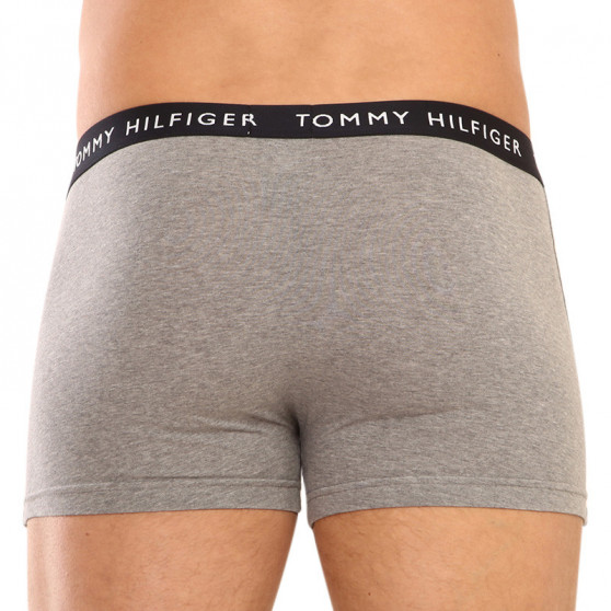 3PACK Boxershorts til mænd Tommy Hilfiger flerfarvet (UM0UM02325 0SG)