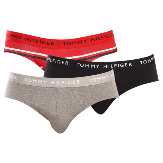 3PACK Trusser til mænd Tommy Hilfiger flerfarvet (UM0UM02328 0AH)