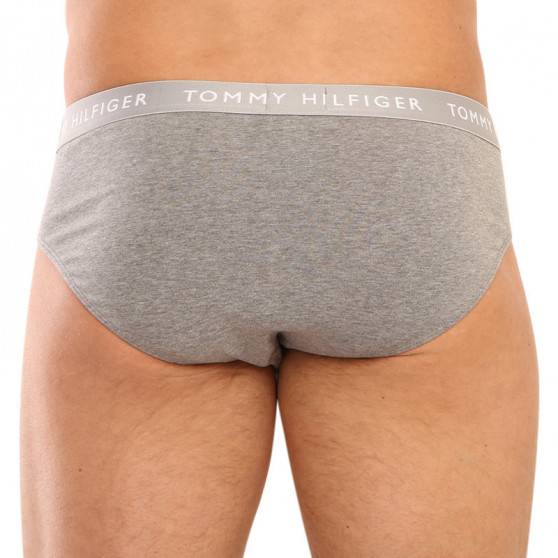 3PACK Trusser til mænd Tommy Hilfiger flerfarvet (UM0UM02328 0AH)