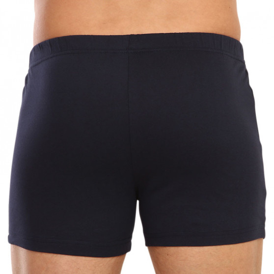 2PACK Boxershorts til mænd Molvy flerfarvet (KP-074-BBU)