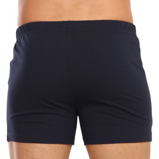 2PACK Boxershorts til mænd Molvy flerfarvet (KP-077-BBU)