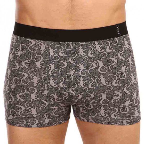 2PACK Boxershorts til mænd Molvy flerfarvet (KP-080-BEU)