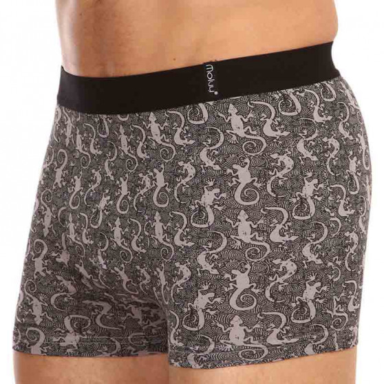 2PACK Boxershorts til mænd Molvy flerfarvet (KP-080-BEU)