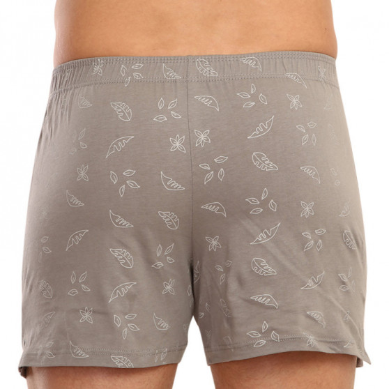 Boxershorts til mænd Andrie grå (PS 5543 C)