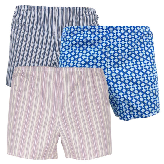 3PACK Boxershorts til mænd Foltýn flerfarvet (K283948)