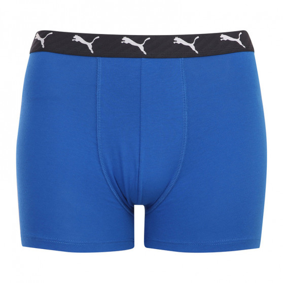 2PACK Boxershorts til drenge Puma flerfarvet (701210975 003)