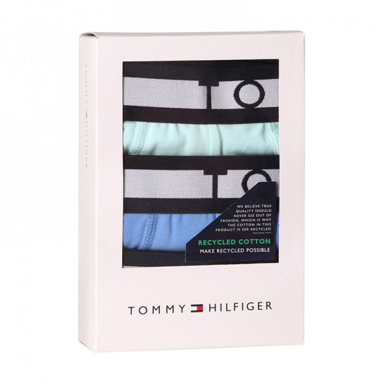 3PACK Boxershorts til mænd Tommy Hilfiger flerfarvet (UM0UM01565 00R)