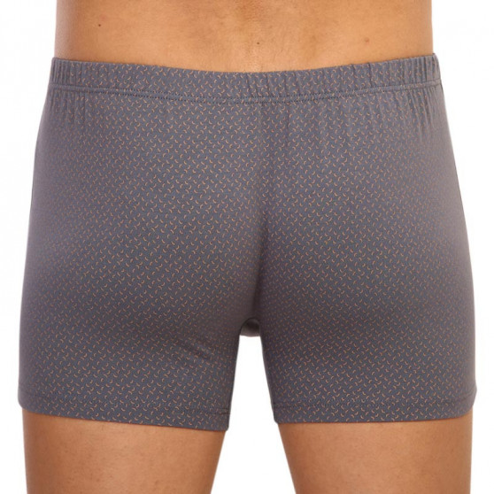 Boxershorts til mænd Andrie grå (PS 5596 B)