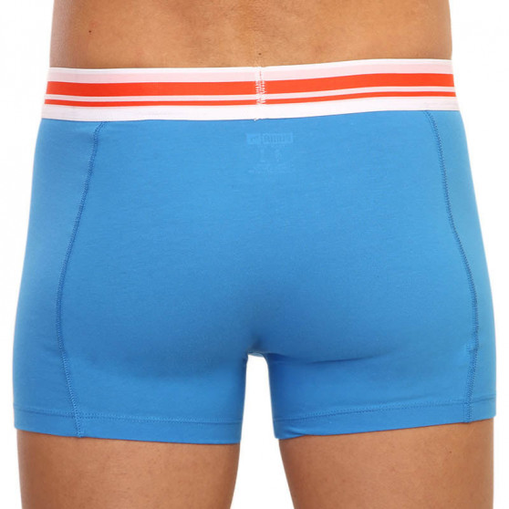 2PACK Boxershorts til mænd Puma flerfarvet (651003001 028)