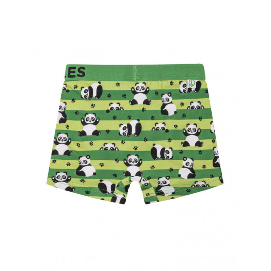 Muntre boxershorts til drenge Dedoles Pandaer og bælter (GMBB249)