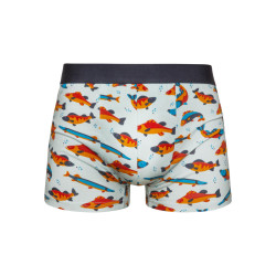 Muntre boxershorts til mænd Dedoles Pisces (GMMT008)