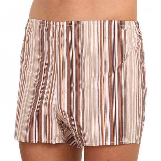 Boxershorts til mænd Foltýn brun med striber (K53)