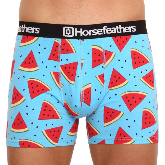 Boxershorts til mænd Horsefeathers Sidney Melon (AM164B)