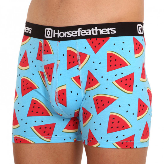 Boxershorts til mænd Horsefeathers Sidney Melon (AM164B)