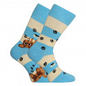 Happy Socks Dedoles Hunde og striber (GMRS123)