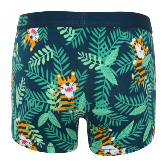 Frække boxershorts til drenge Dedoles Tiger (GMBB047)