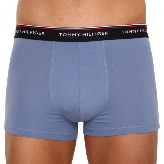 3PACK Boxershorts til mænd Tommy Hilfiger flerfarvet (1U87903842 0TU)