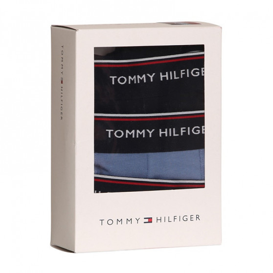 3PACK Boxershorts til mænd Tommy Hilfiger flerfarvet (1U87903842 0TU)