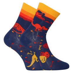 Happy Kids Socks Dedoles Dinosaur World (GMKS174)