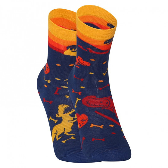 Happy Kids Socks Dedoles Dinosaur World (GMKS174)