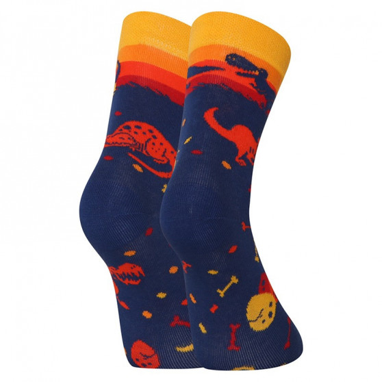 Happy Kids Socks Dedoles Dinosaur World (GMKS174)