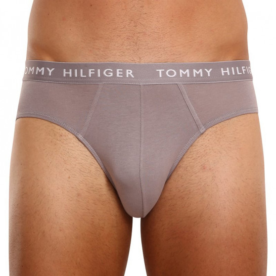 3PACK Trusser til mænd Tommy Hilfiger flerfarvet (UM0UM02206 0TG)