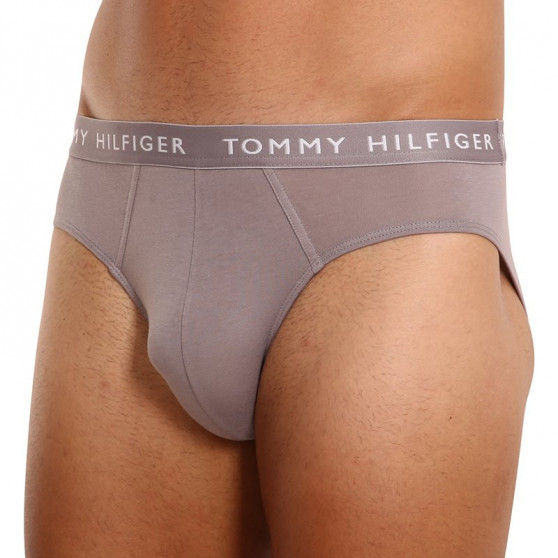 3PACK Trusser til mænd Tommy Hilfiger flerfarvet (UM0UM02206 0TG)