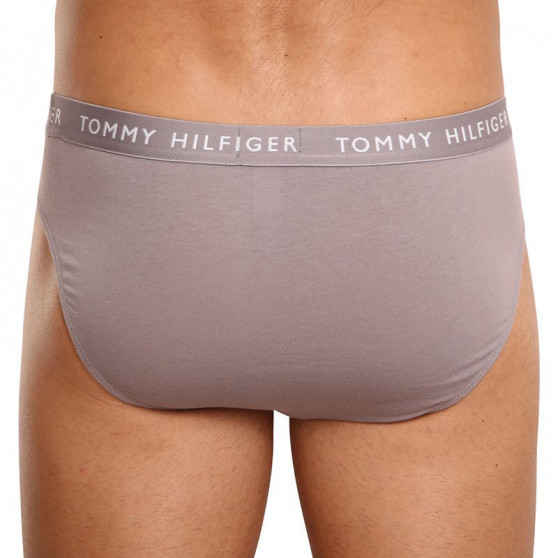 3PACK Trusser til mænd Tommy Hilfiger flerfarvet (UM0UM02206 0TG)