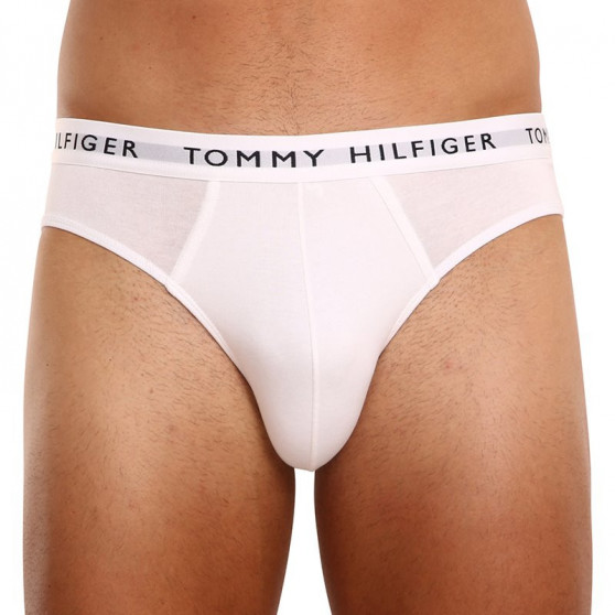 3PACK Trusser til mænd Tommy Hilfiger flerfarvet (UM0UM02206 0TG)