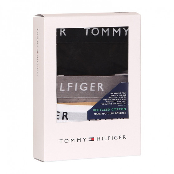 3PACK Trusser til mænd Tommy Hilfiger flerfarvet (UM0UM02206 0TG)