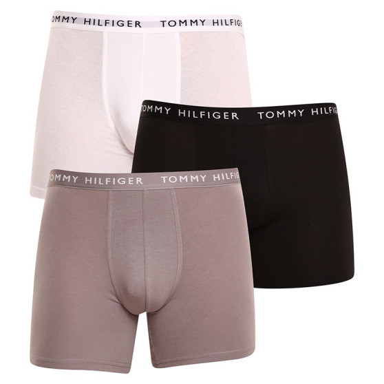 3PACK Boxershorts til mænd Tommy Hilfiger flerfarvet (UM0UM02204 0TG)