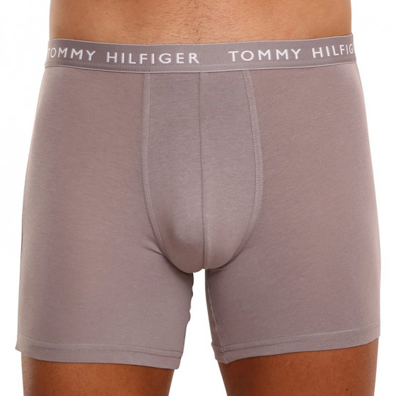 3PACK Boxershorts til mænd Tommy Hilfiger flerfarvet (UM0UM02204 0TG)