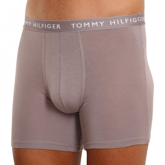 3PACK Boxershorts til mænd Tommy Hilfiger flerfarvet (UM0UM02204 0TG)