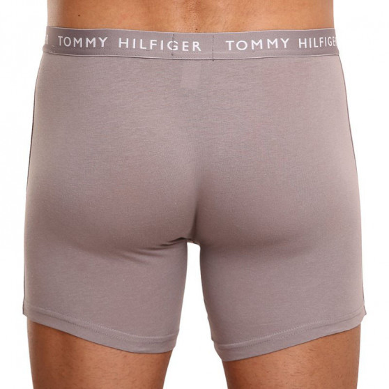 3PACK Boxershorts til mænd Tommy Hilfiger flerfarvet (UM0UM02204 0TG)