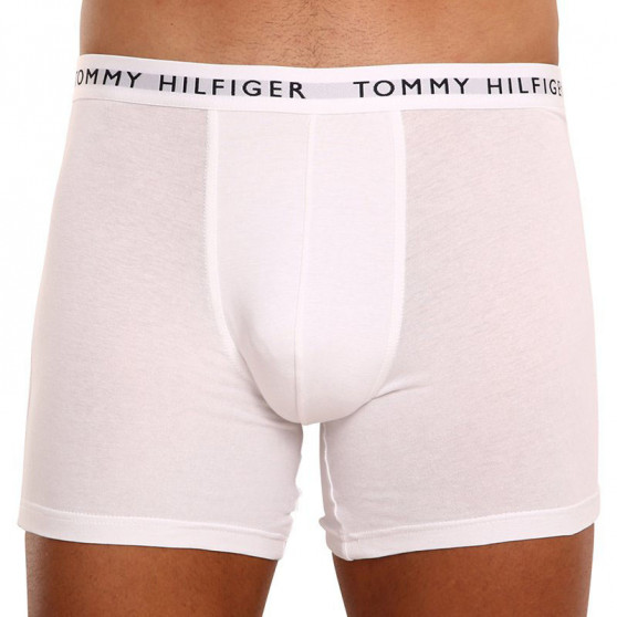 3PACK Boxershorts til mænd Tommy Hilfiger flerfarvet (UM0UM02204 0TG)