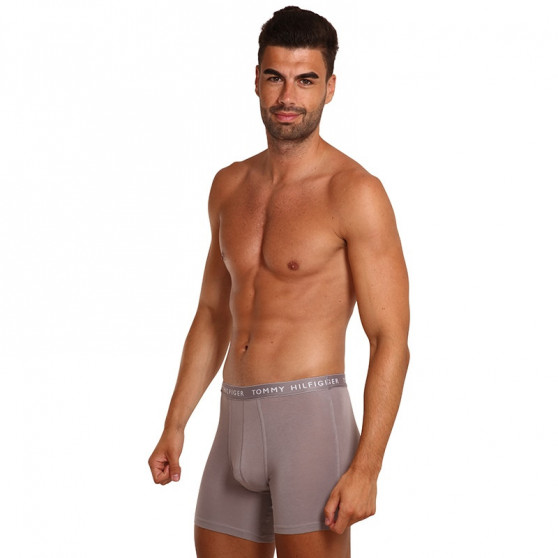 3PACK Boxershorts til mænd Tommy Hilfiger flerfarvet (UM0UM02204 0TG)