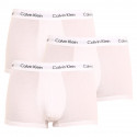 3PACK Boxershorts til mænd Calvin Klein hvid (U2664G-100)