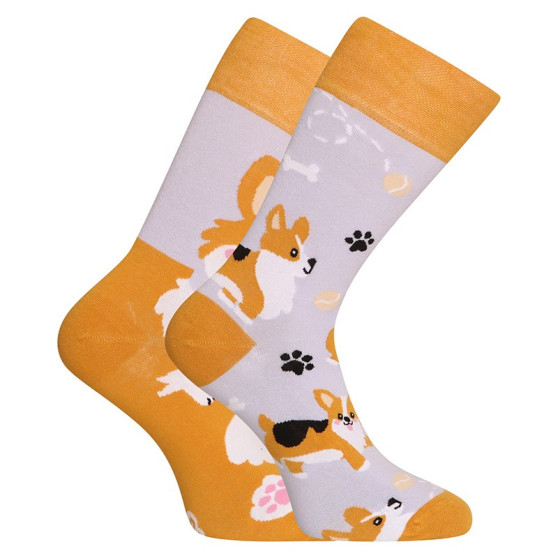 Happy Socks Dedoles Hund Corgi (GMRS241)