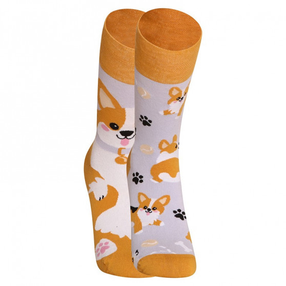 Happy Socks Dedoles Hund Corgi (GMRS241)